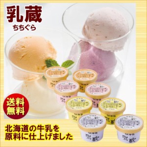 乳蔵 北海道 乳蔵 アイスクリーム詰合せ 4種8個 110129 送料無料