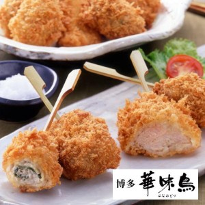 博多華味鳥 串揚げセット 送料無料