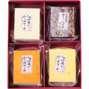 北海道 十勝四角いチーズケーキ＆ガトーショコラ 5000131 送料無料