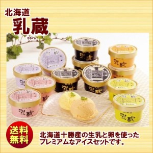 北海道 乳蔵 アイスクリーム 5種12個 プレミアムバニラ入 110082 送料無料