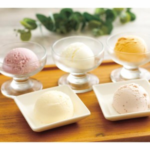 乳蔵 北海道アイスクリーム 5個 送料無料