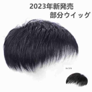 人毛％男性用部分ウィッグ メンズウィッグ ショート ヘアピース人毛使用 普段用 黒 短い 通気性 部分ウィッグ トップカバー　イーメーチ