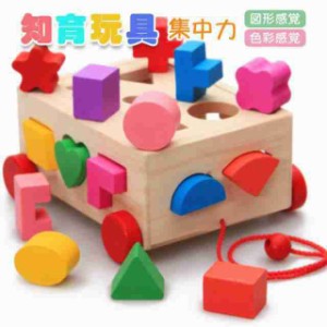 春新作 型はめ 知育 パズル ボックス 知育玩具 積み木 木のおもちゃ 型はめおもちゃ 立体 色彩 感覚 赤ちゃん おもちゃ ボックス 木製 ブ