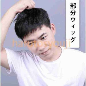 部分かつらメンズウィッグ頭頂部ヘアトップピース男性用ポイントウィッグ16cm×18cmショート自然通気