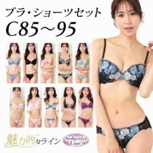 大きいサイズ レディース ブラジャー ショーツセット 下着 Cカップ C85 C90 C95 モールドカップ ブラパッドなし 新色入荷 ネコポス不可