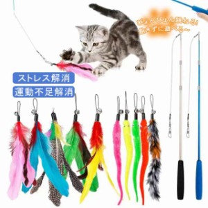 猫じゃらし ねこじゃらし 猫用おもちゃ 猫 ねこ ネコ 羽根 鈴 猫用品 雑貨 猫おもちゃ ストレス解消 運動不足解消 鳥の羽 鳥