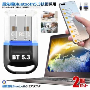 2個セット Bluetooth5.3 USB アダプタドライバー不要 挿し込 即利用  超低遅延 超小型 無線 省電力 EDR LE対応 Windows 対応 BT804BL