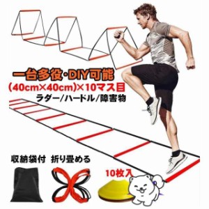 トレーニング ラダー 4m ミニ ハードル 練習用 野球 陸上 ラグビー アジリティー サッカー フットサル 練習器具 部活 陸上競技場 バレー