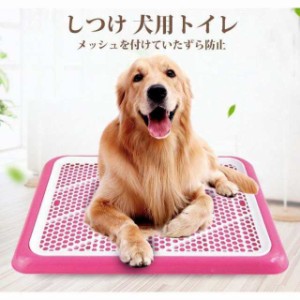 しつけ 犬用トイレ ペット トイレ用品 トイレ容器 トレーニングトイレ 子犬 小型犬 室内犬 ペット用トイレ ペット用品 オシャレ トイレ用