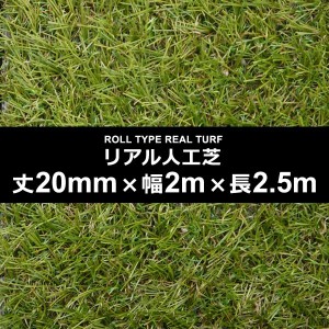 人工芝 幅 2m 長さ 2.5m 厚み 20mm ロール diy 庭 マット 施工 テラス ベランダ ガーデニング サッカー フットサル 保育園 幼稚園 学校