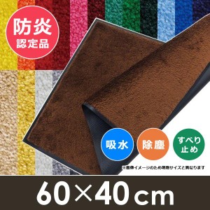 玄関マット 60×40cm 屋外用 室内用 防炎 吸水 すべり止め 日本製