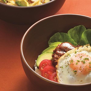 どんぶり 丼 食器 お椀 おしゃれ 食洗機 レンジ対応 木製風 樹脂製