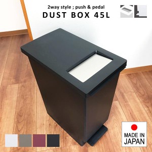 ゴミ箱 45リットル おしゃれ スリム キッチン 45l ごみ箱 フタ付き 蓋つき ペダル式 分別 棚下 カウンター下 大容量 オシャレ シンプル 2