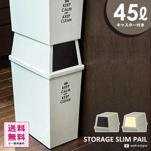 ゴミ箱 45L フタ付き おしゃれ スリム 45リットル 縦型 キッチン リビング ごみ箱