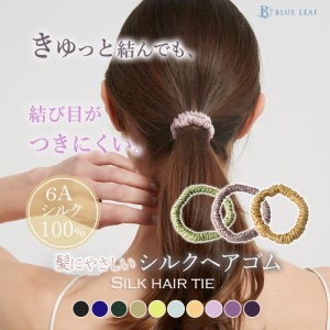 シルク シュシュ ヘアゴム シルク100％ 絹 ヘアケア ヘアアクセサリー 細め 髪留めゴム 美髪 まとめ髪 髪の毛 ポニーテール  まとめ髪 オ