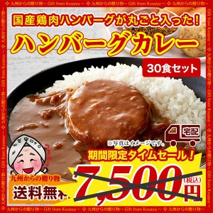 グルメ ご飯のお供 訳あり 国産鶏ハンバーグカレー 30袋  中辛  レトルトカレー 長期保存 常備 食品 送料無料 得トクセール お取り寄せ 