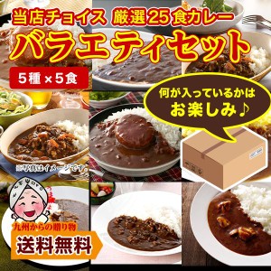 グルメ まとめ買い 当店チョイス 厳選カレー 計25食 バラエティセット ご当地 レトルトカレー 食品 送料無料 得トクセール オープン記念 