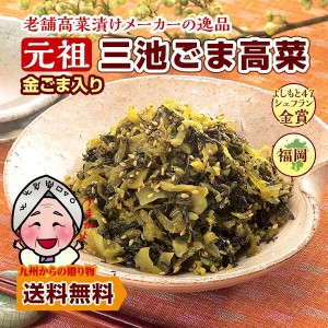 ポイント消化 漬物 金ごま入り 元祖ごま高菜(200g)X2袋 高菜漬け ご飯のお供 送料無料  お試し お取り寄せ ポイント消化