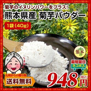 菊芋 パウダー 熊本県産菊芋使用 ふるさと 菊芋 きくいも パウダー 40g イヌリンパワー キクイモ ぱうだー 健康 国産 熊本 九州産 イヌリ