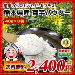 菊芋 パウダー 熊本県産菊芋使用 ふるさと 菊芋 きくいも パウダー 40gｘ3袋 送料無料 イヌリンパワー キクイモ 健康 国産 熊本 野菜 b1