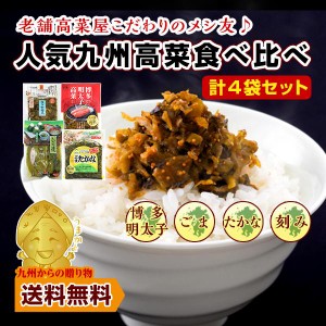 漬物 大人気 新九州高菜セット 明太高菜 ごま高菜 ふるさと高菜 きざみ高菜 計4種 ご飯のお供 ぽっきり グルメ 得トクセール 食品 つけも