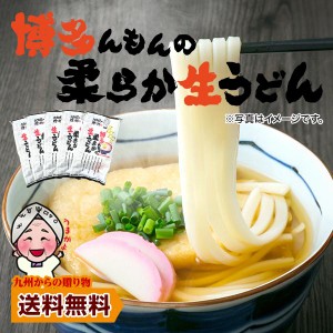 お得クーポンあり 送料無料 博多 あご出汁 博多んもん柔らか生うどん 5人前 乾燥ねぎ付き 半生麺 博多うどん うどん ポイント消化 わけあ