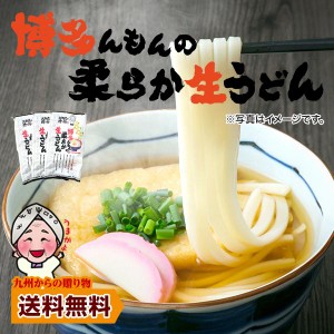 お試しうどん 限定クーポンあり 送料無料 博多 あご出汁 博多んもん柔らか生うどん 3人前 乾燥ねぎ付き 半生麺 博多うどん うどん ポイン