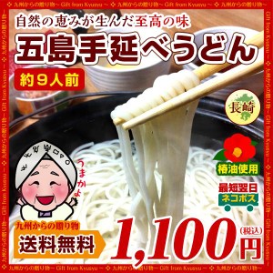 ツルッとのどごし 長崎幻の五島うどん(手延べうどん)約9人前 送料無料 お取り寄せ 得トクセール 乾麺