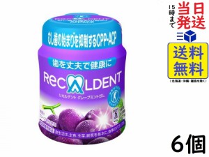 モンデリーズ・ジャパン リカルデント グレープミントガム ボトル 140g ×6個 賞味期限2025/03