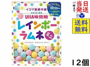 味覚糖 レインボーラムネ ミニ 30g ×12個 賞味期限2024/12