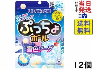 UHA味覚糖 ぷっちょボール 雪色ソーダ 46g ×12個 賞味期限2024/09