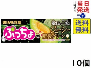 UHA味覚糖 ぷっちょ ジューシー肥後グリーン 10粒 ×10個 賞味期限2024/11