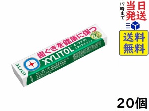 ロッテ キシリトール オーラテクトガム(クリアミント) 21g ×20個　賞味期限2025/03