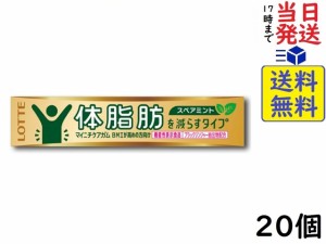 ロッテ マイニチケアガム 体脂肪を減らすタイプ 14粒 ×20個 賞味期限2025/03