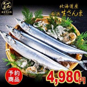 【次回2024年9月頃発送予定】 北海道根室産 厳選生さんま 1kg詰め 120ｇ前後 8尾前後 さんま サンマ 秋刀魚 生サンマ 魚 さんま丼 刺身 