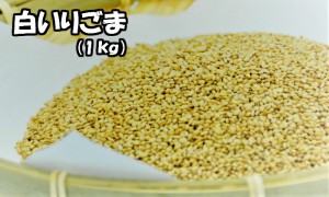 いりごま 1ｋｇ 業務用 送料無料 メール便 煎りごま 煎りゴマ 煎白胡麻 ごま