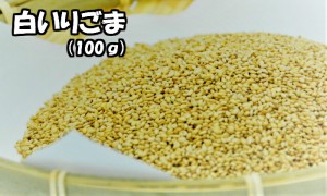 いりごま 100ｇ 送料無料 メール便 煎りごま 煎りゴマ 煎白胡麻 ごま