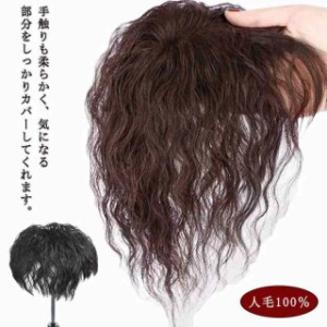 部分ウィッグ 円形脱毛症 カール 人毛100％ 白髪隠し ヘアピース ウェーブ 薄毛 抜け毛 頭頂部 つむじ付き 母の日 黒髪 ダークブラウン