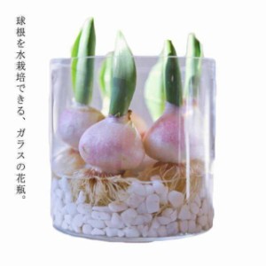 フラワーベース 花器 球根￥/水栽培 フラワーポット ガラス インテリア 花瓶 おしゃれ 透明 ガーデニング チューリップ ヒヤシンス ユリ