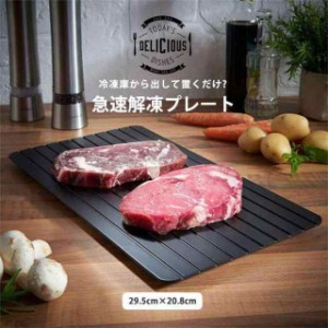 解凍プレート 急速解凍 業務用家庭用 自然解凍 肉 刺身 冷凍食品対応 お祝いギフト 母の日2023 メール便