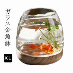 金魚鉢 おしゃれの通販｜au PAY マーケット