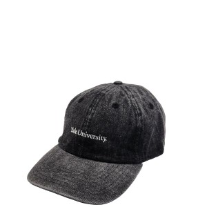 15%OFFクーポン配布中 SUNNY SPORTS / Newhattan / IIVY LEAGUE BASEBALL CAP-DENIM