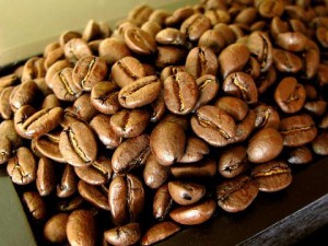 ギフト コーヒー 送料無料 グァテマラ 1.2kg 豊かなコクと甘みに芳醇な香り!中深煎り 食品 コーヒー豆 粉 内祝い 袋 ラッピング ギフトラ