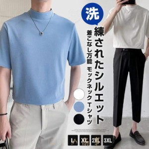 モックネック Tシャツ メンズ 半袖 ゆったり カジュアル プチハイネック 半袖Tシャツ カットソー スポーツ 無地 夏 ゴルフシャツ