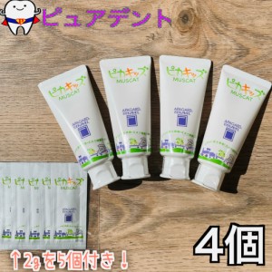 【2g5個付】アパガード リナメル ピカキッズ 50g 4個(医薬部外品)