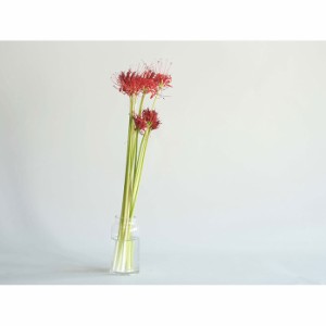 フラワーベース 花器 花瓶 フラワーアレンジメント 花用 花 アレンジメント用品 資材 Tomボトルベースφ7.5(5.5)xH15.5  ブランド