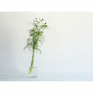 フラワーベース 花器 花瓶 フラワーアレンジメント 花用 花 アレンジメント用品 資材 Tomボトルベースφ11(6)xH36  ブランド