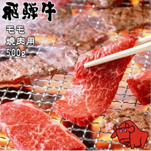 肉 ギフト 飛騨牛 養老ミート モモ 肩 焼肉用 赤身 500g 冷凍 化粧箱入り ギフト 贈答用  黒毛和牛 牛肉 高級肉 和牛 やわらかい 岐阜県