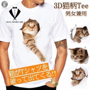 Tシャツ イラスト メンズ 3D 猫 茶トラ 可愛い 半袖 男女兼用 薄手 ねこ 白 レディース 面白 おもしろ トリックアート