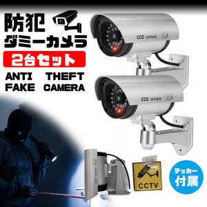 防犯カメラ 家庭用 2台セット 屋外 屋内 ワイヤレス ダミー カメラ 電源不要 小さい  LED 点灯 電池式 防犯  防犯対策 セキュリティカメ